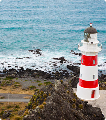 Flight to New Zealand 